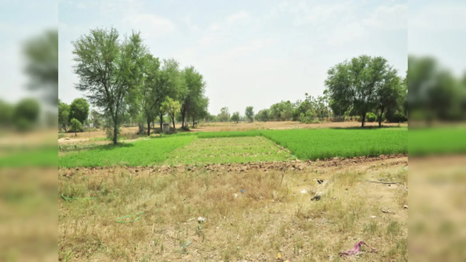 Land Loans